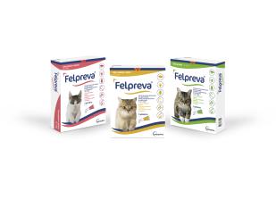 Felpreva