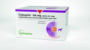 Cefaseptin 300mg Cefaseptin 300mg