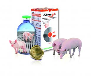 Forcyl Swine Forcyl Swine